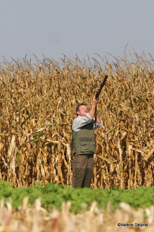 Field Erstein 09 (165).JPG